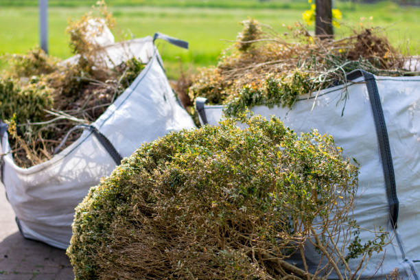 Best Office Junk Removal  in Guilford Center, CT